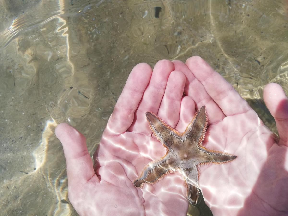 شقة Attico Fronte Mare مارتينسيكورو المظهر الخارجي الصورة